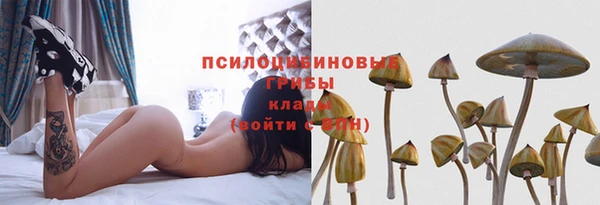 хмурый Армянск