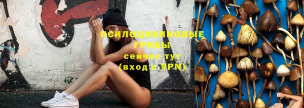 прущая мука Арсеньев