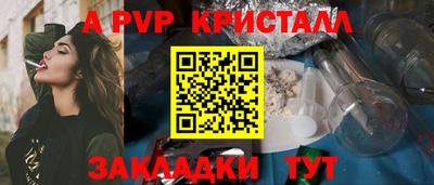 крисы Камышлов