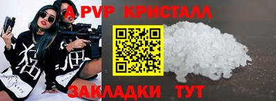 крисы Камышлов