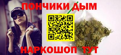 крисы Камышлов