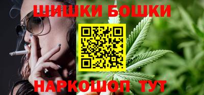 гашик Тайшет