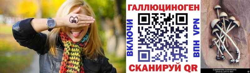 Купить закладки  Москва  Галлюциногенные грибы Cubensis 
