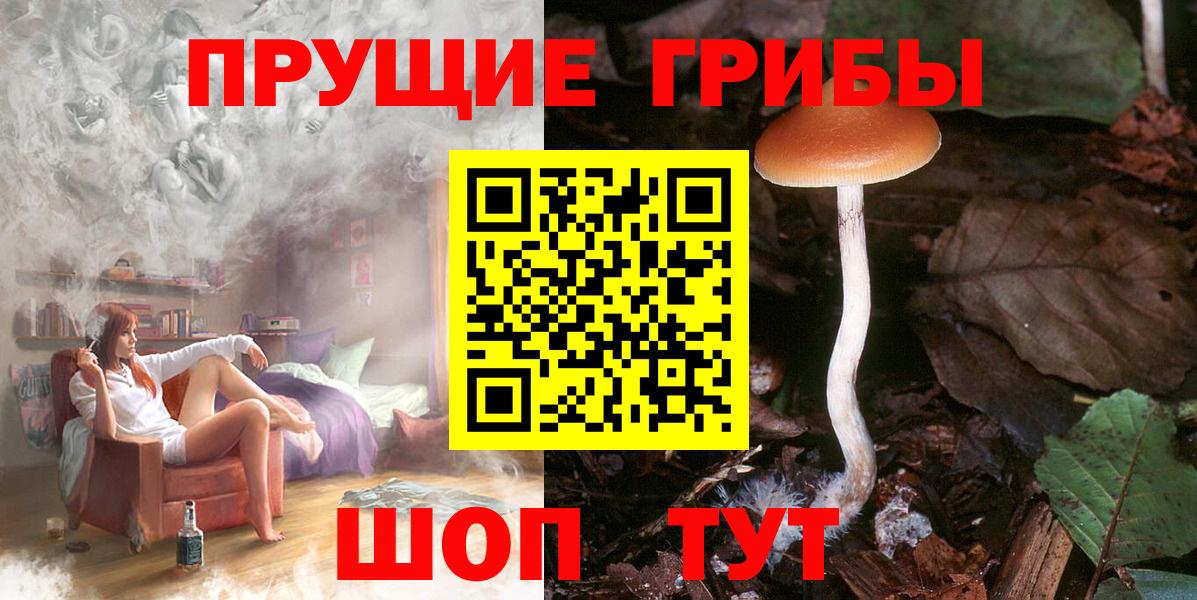 Москва  Псилоцибиновые грибы Psilocybe  Вход с VPN  Псилоцибиновые грибы ЛСД 