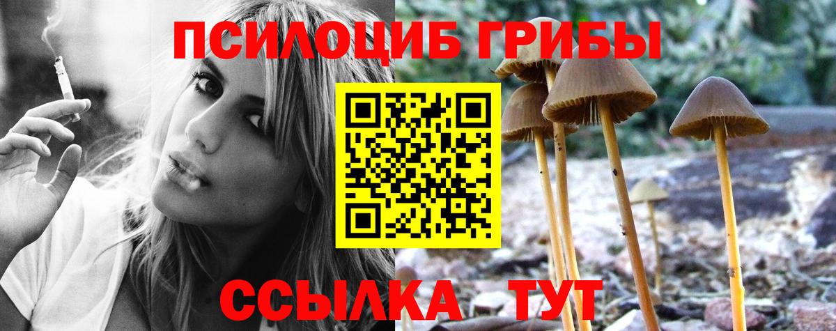 Псилоцибиновые грибы мухоморы Москва