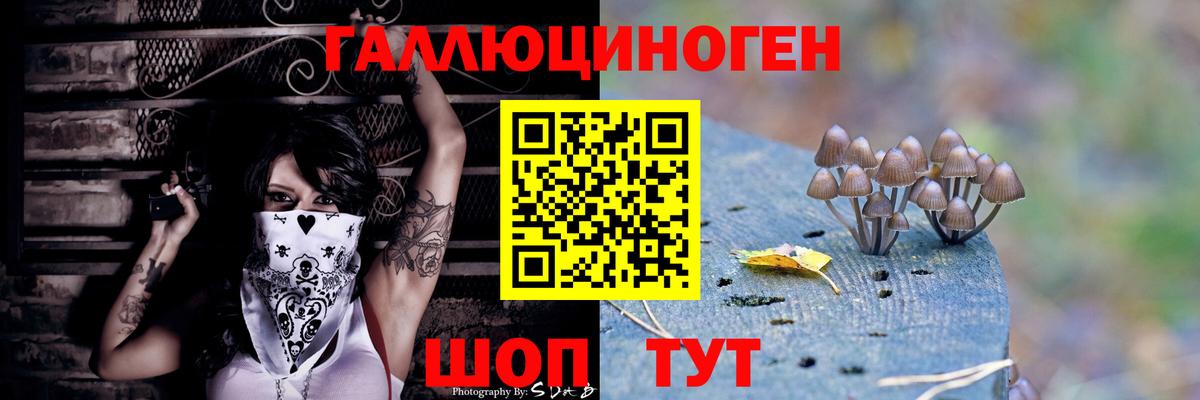 Псилоцибиновые грибы Psilocybe Москва